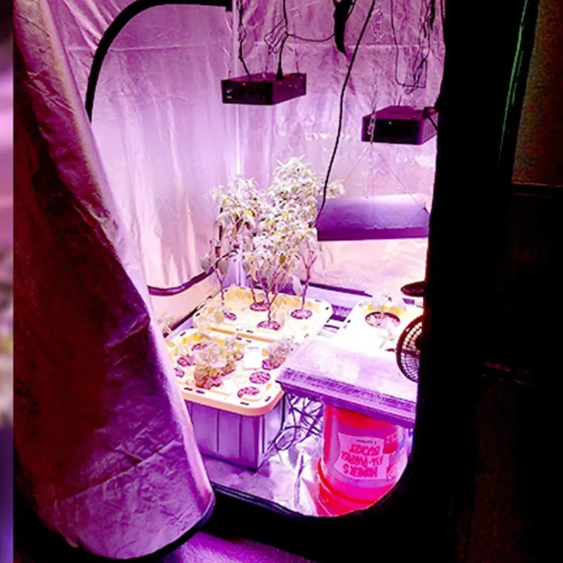 Grow Tent 4X4 - เต็นท์ปลูกต้นไม้ในร่มรุ่นใหม่ ขนาด 4x4 สำหรับปลูกพืชในสวน โรงเรือนเพาะชำ เต็นท์ผ้า