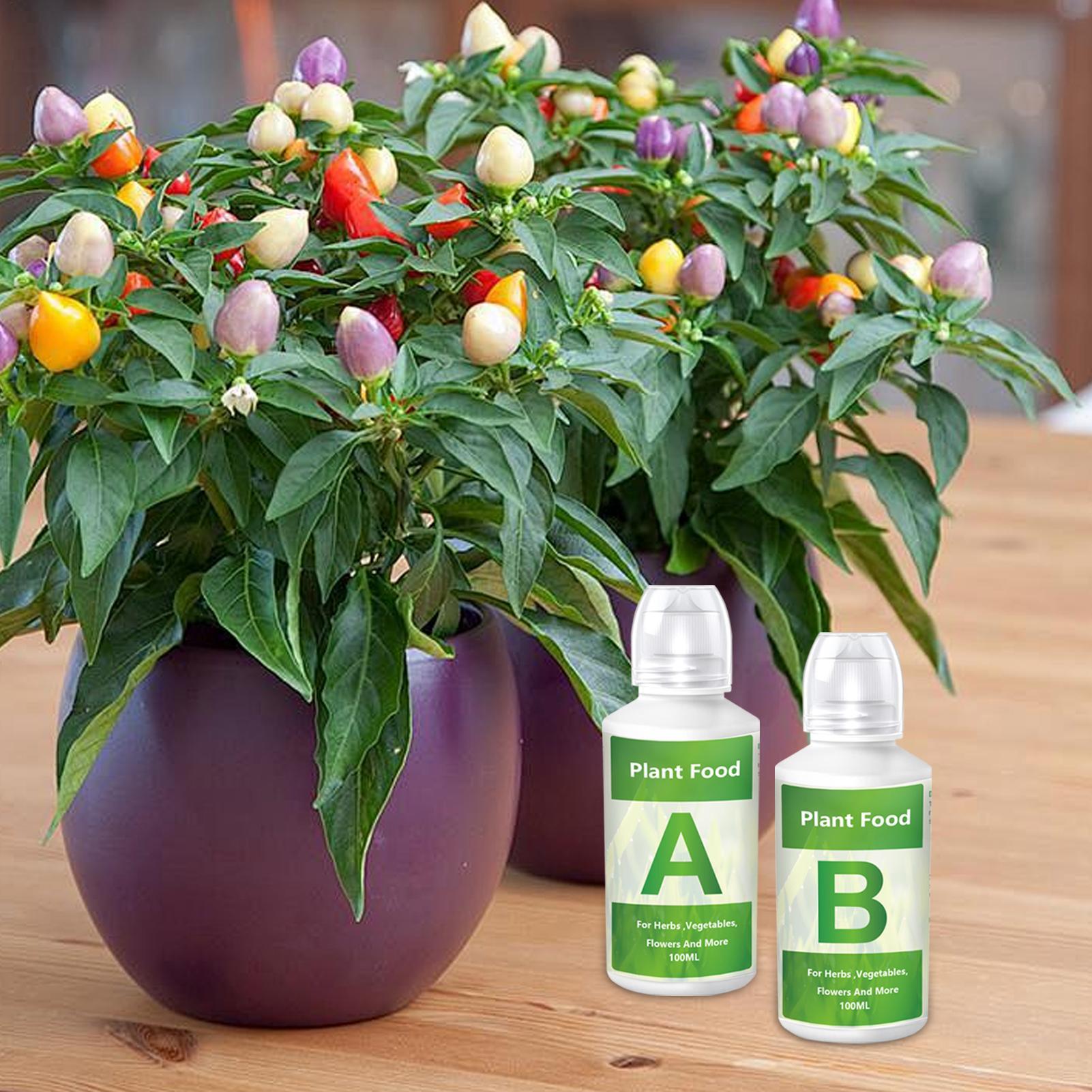 ปุ๋ยไฮโดรโปนิกส์ น้ำยาบำรุงพืช - Nutrient Solution Ab บทวิจารณ์และราคา